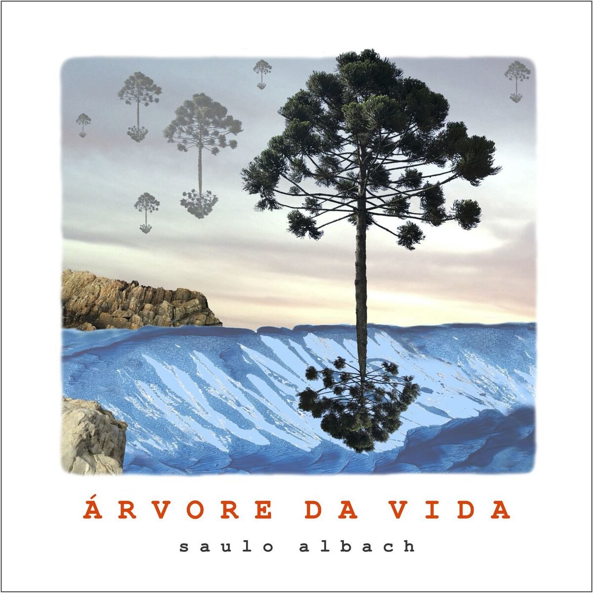 Album cover of Árvore da Vida