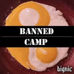 Cover of Banned Camp