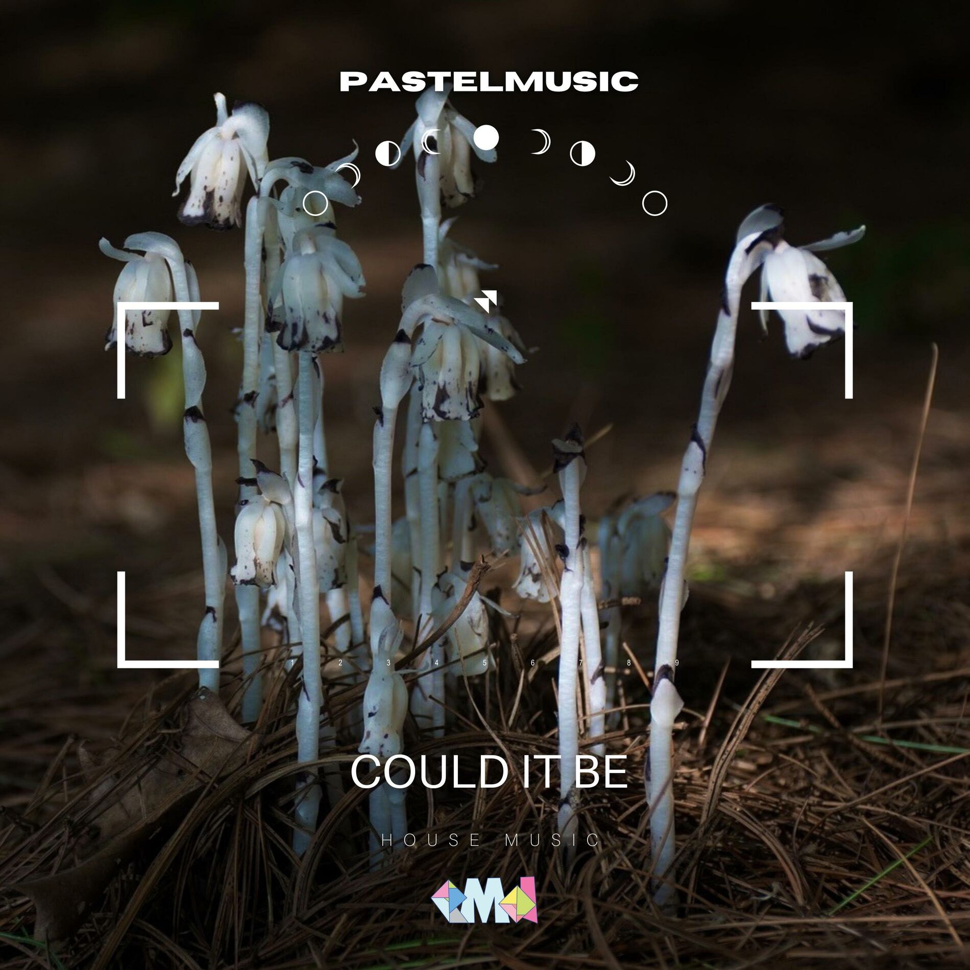 Album cover of Could it Be