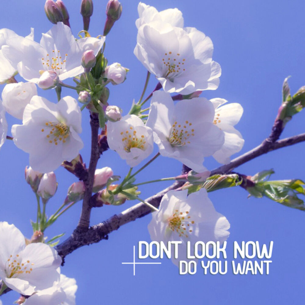 Picture of Do You Want