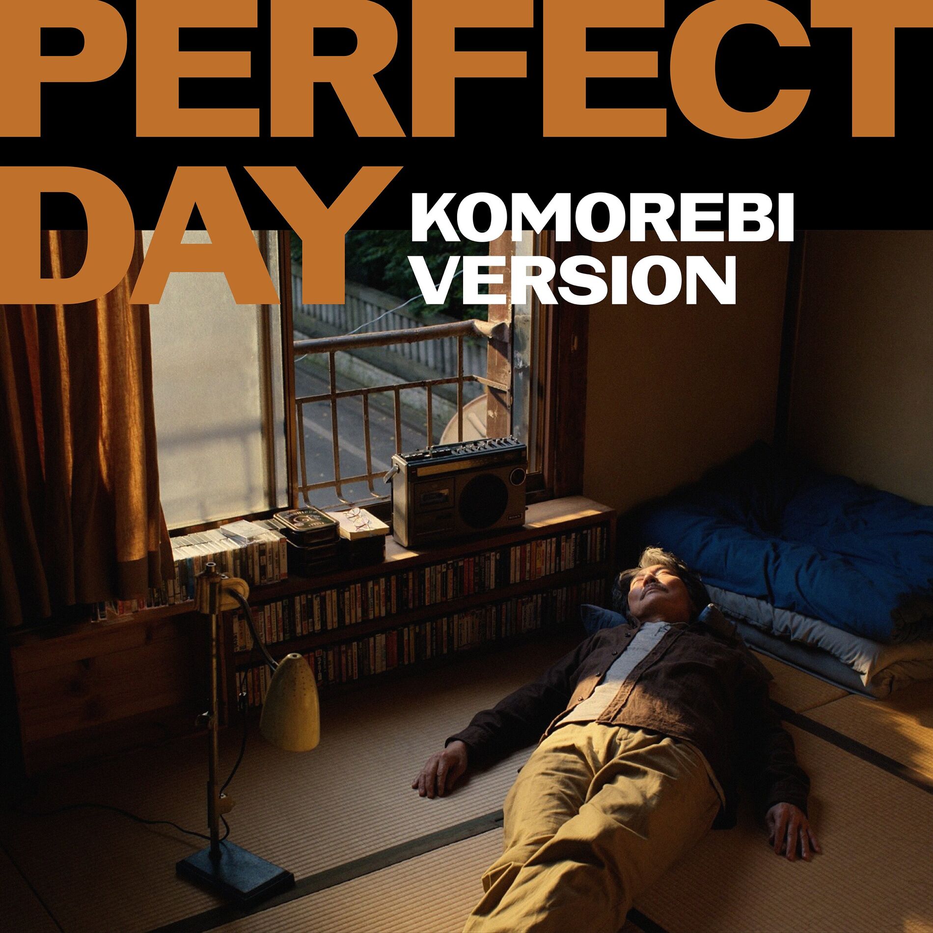 Album cover of Perfect Day