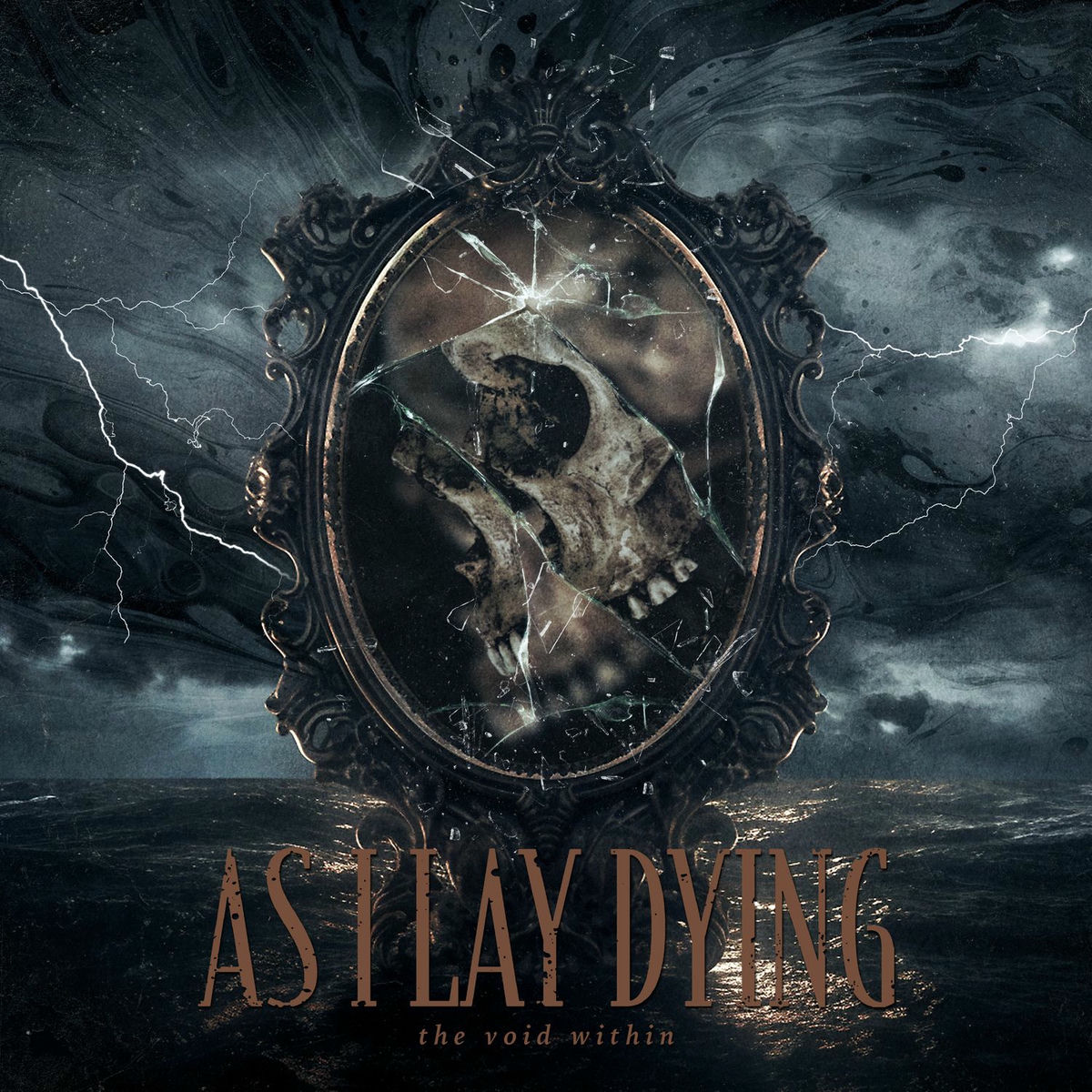 Album cover of The Void Within