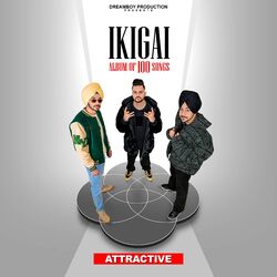 Cover of Attractive