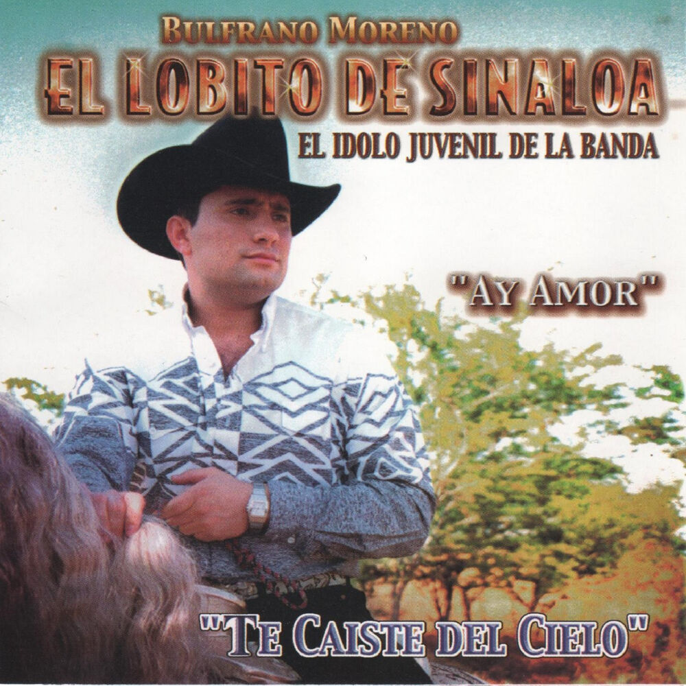 Picture of Te Caiste del Cielo