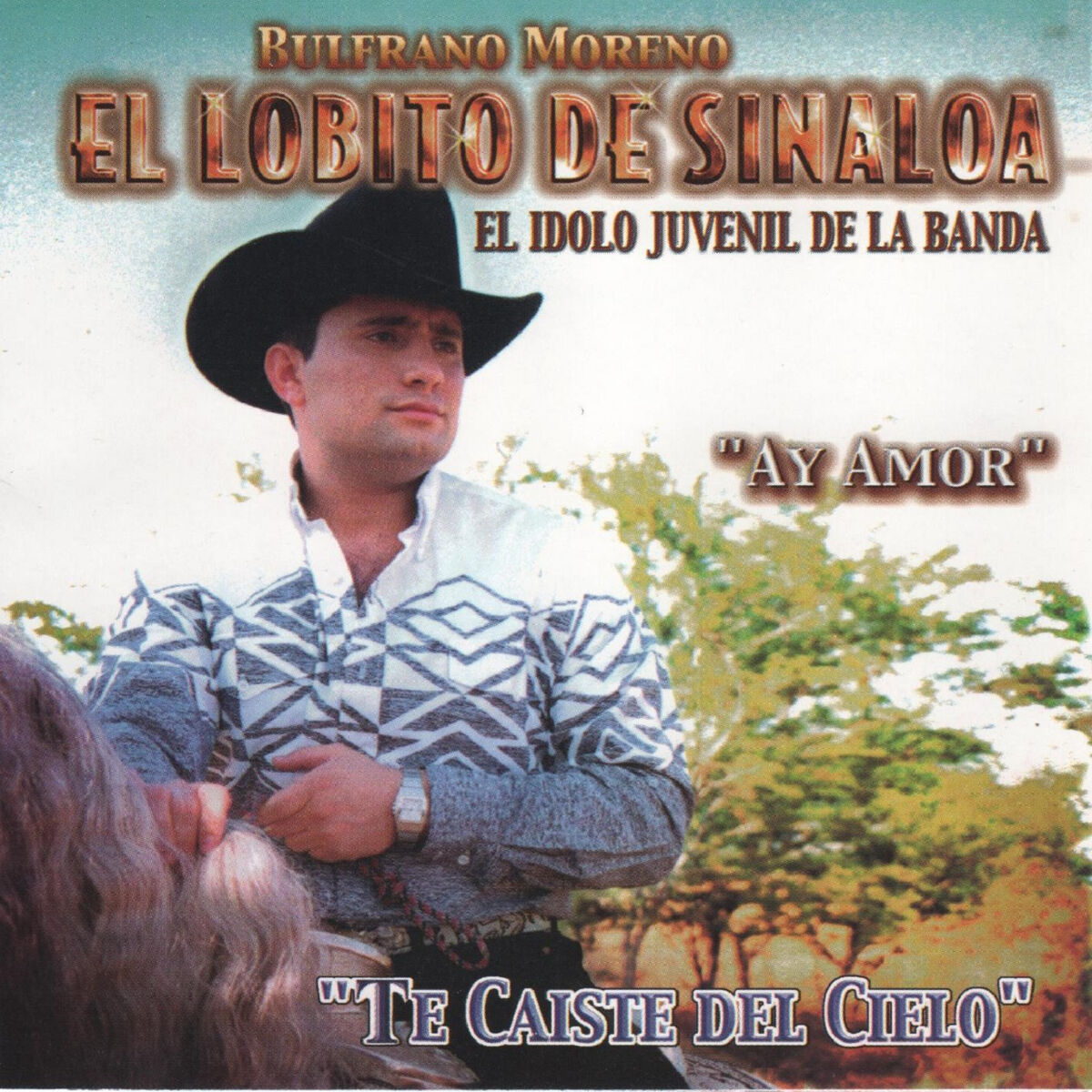Album cover of Te Caiste del Cielo