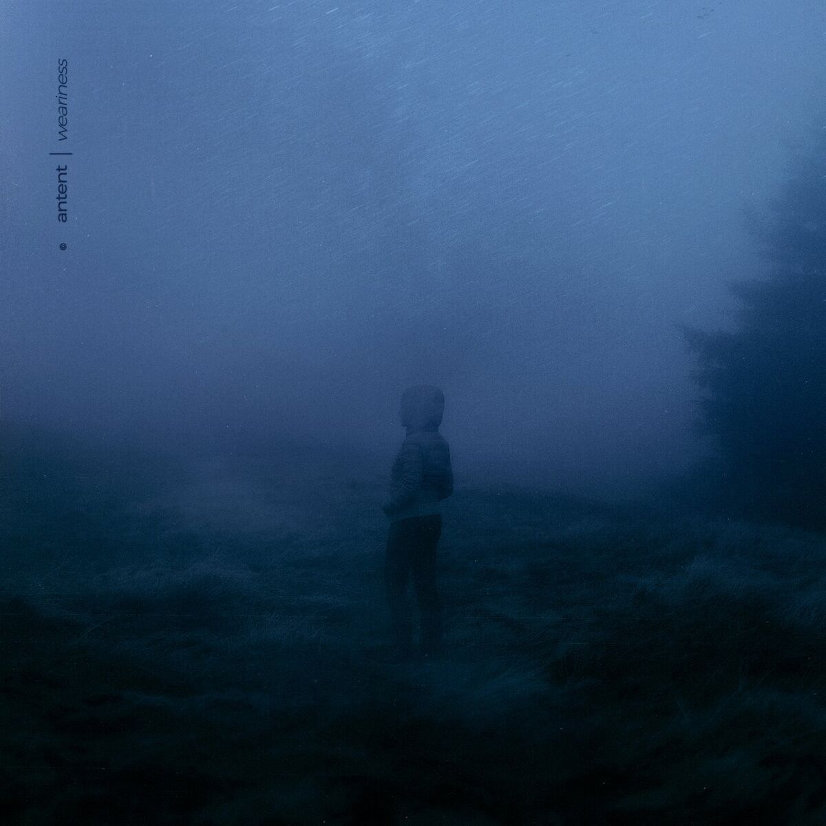 Album cover of weariness