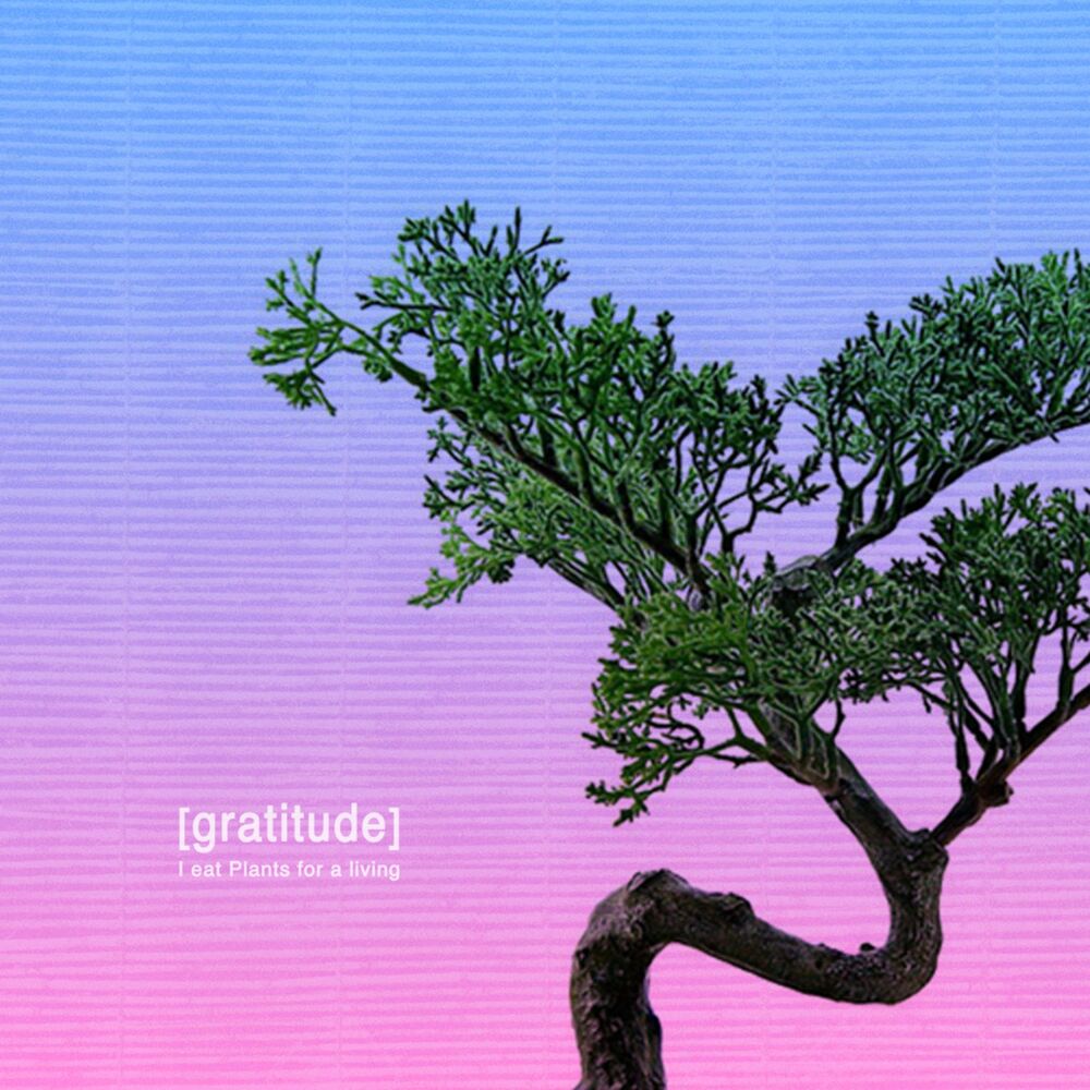 Picture of Gratitude