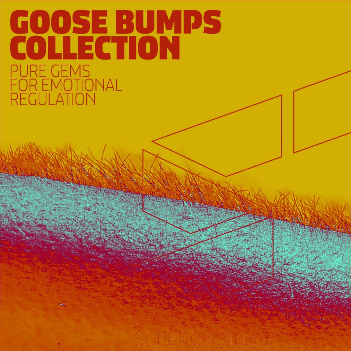 Album cover of Goose Bumps Collection, Vol. 8