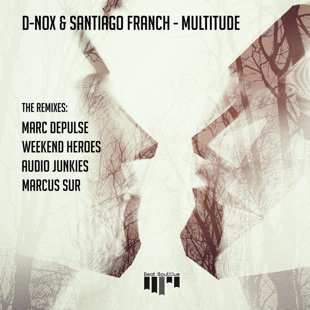 Picture of Multitude Remixes