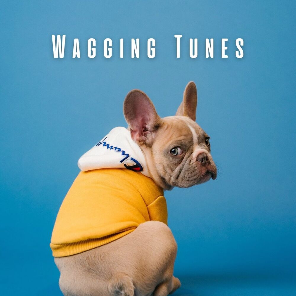 Picture of Wagging Tunes: Chill Lofi for Dog Days