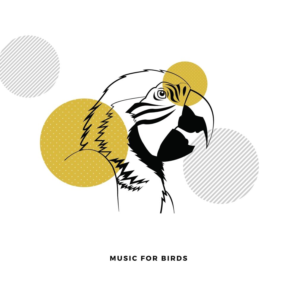 Picture of Music For Birds