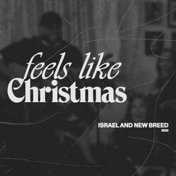 Cover of Feels Like Christmas