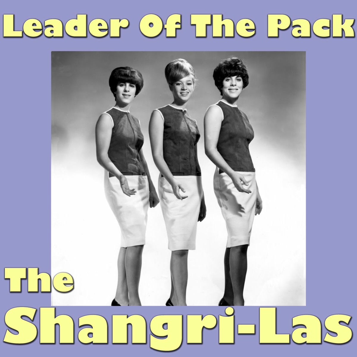 Album cover of Leader Of The Pack