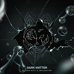 Cover of Dark Matter