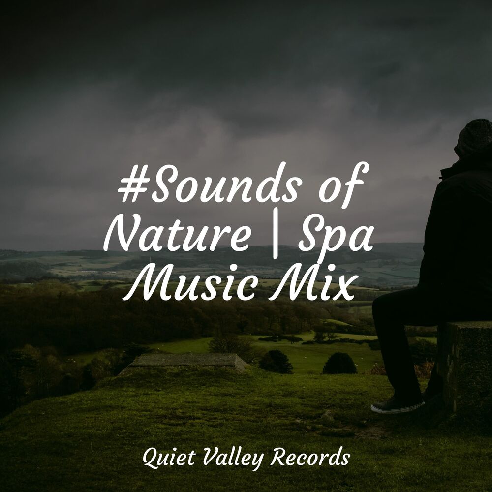 Picture of #Sounds of Nature | Spa Music Mix