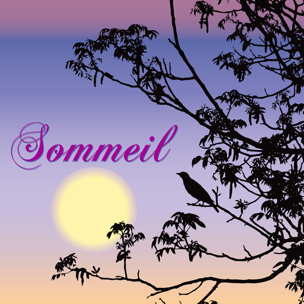 Picture of Sommeil - Musique relaxation pour dormir et détente, Musique d'ambiance pour mieux dormir en cas de manque de sommeil