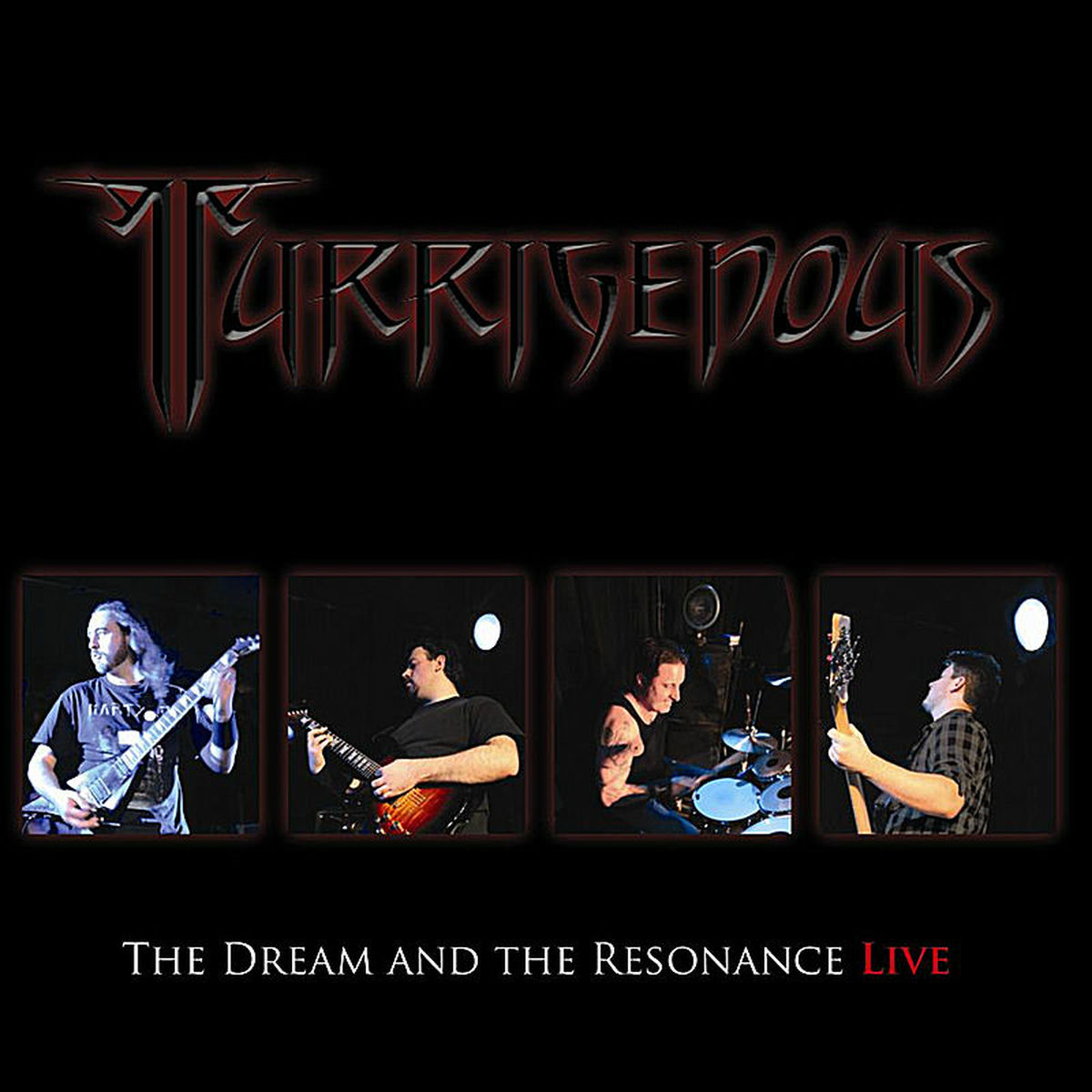 Album cover of The Dream and the Resonance LIVE