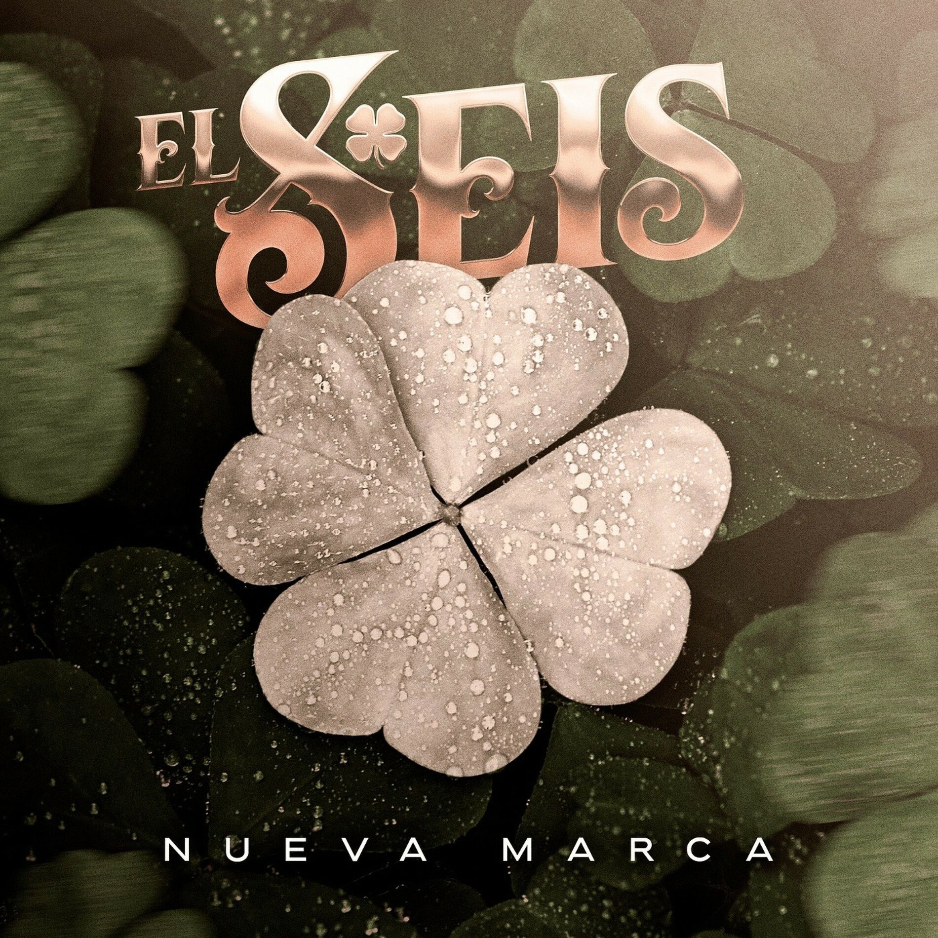 Album cover of El Seis
