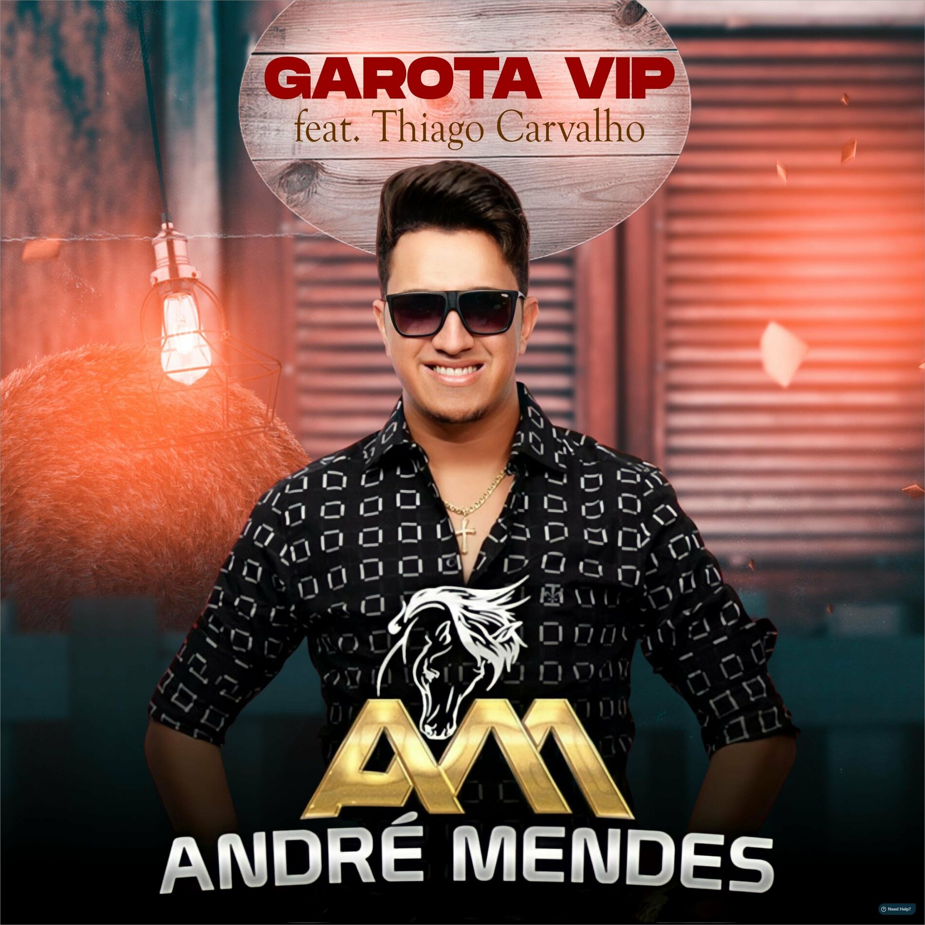 Album cover of Garota VIP