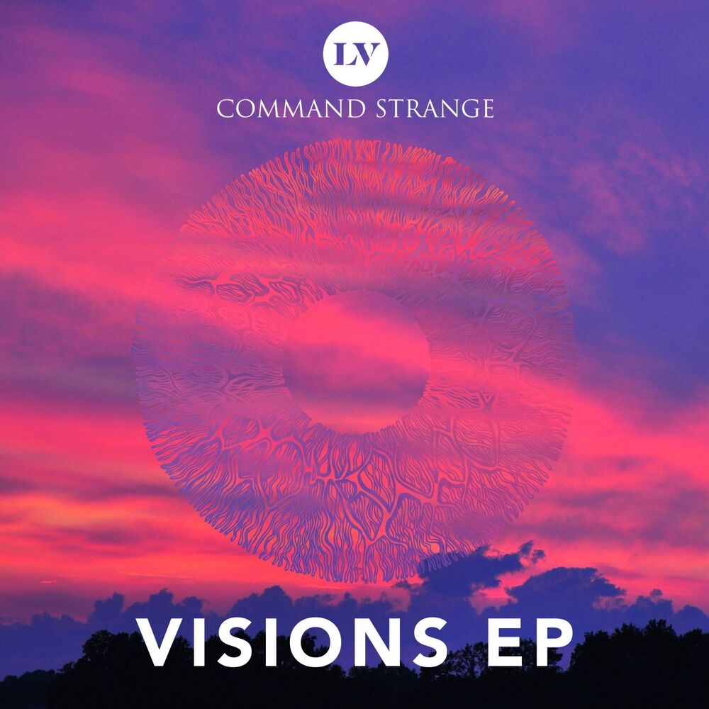 Picture of Visions EP