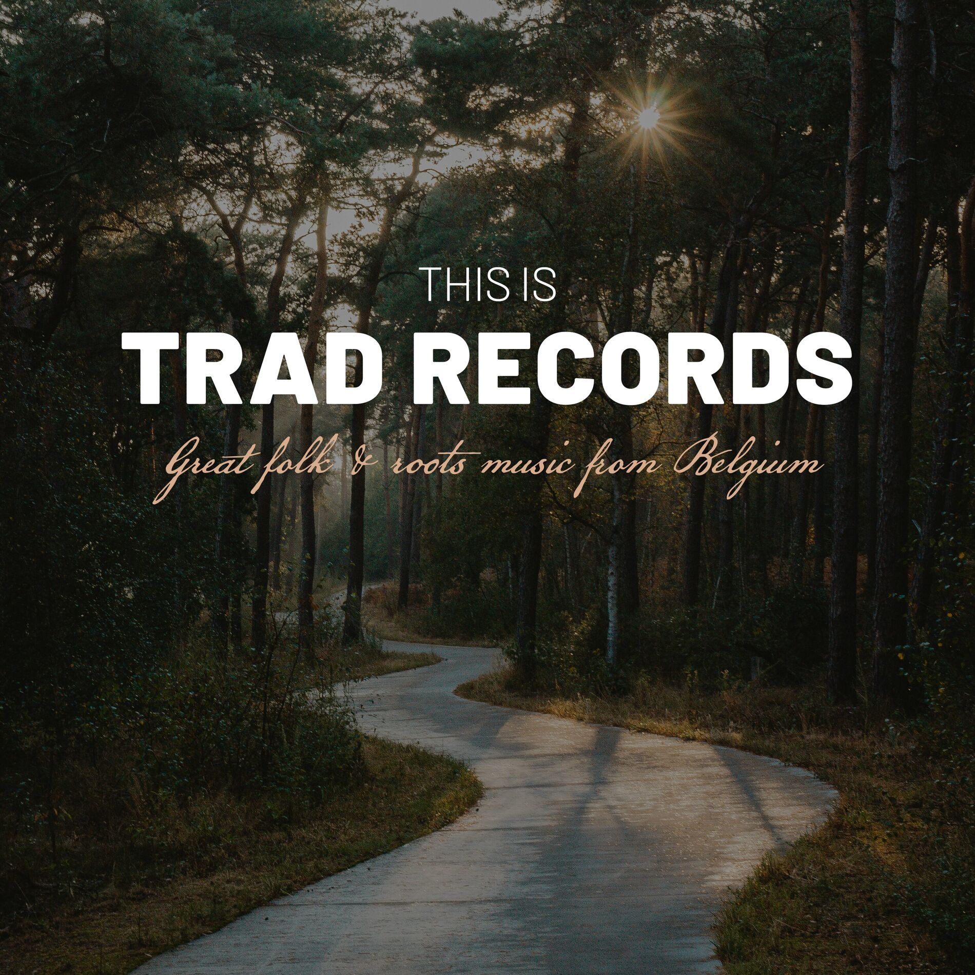 Album cover of This is Trad Records, Vol. 3