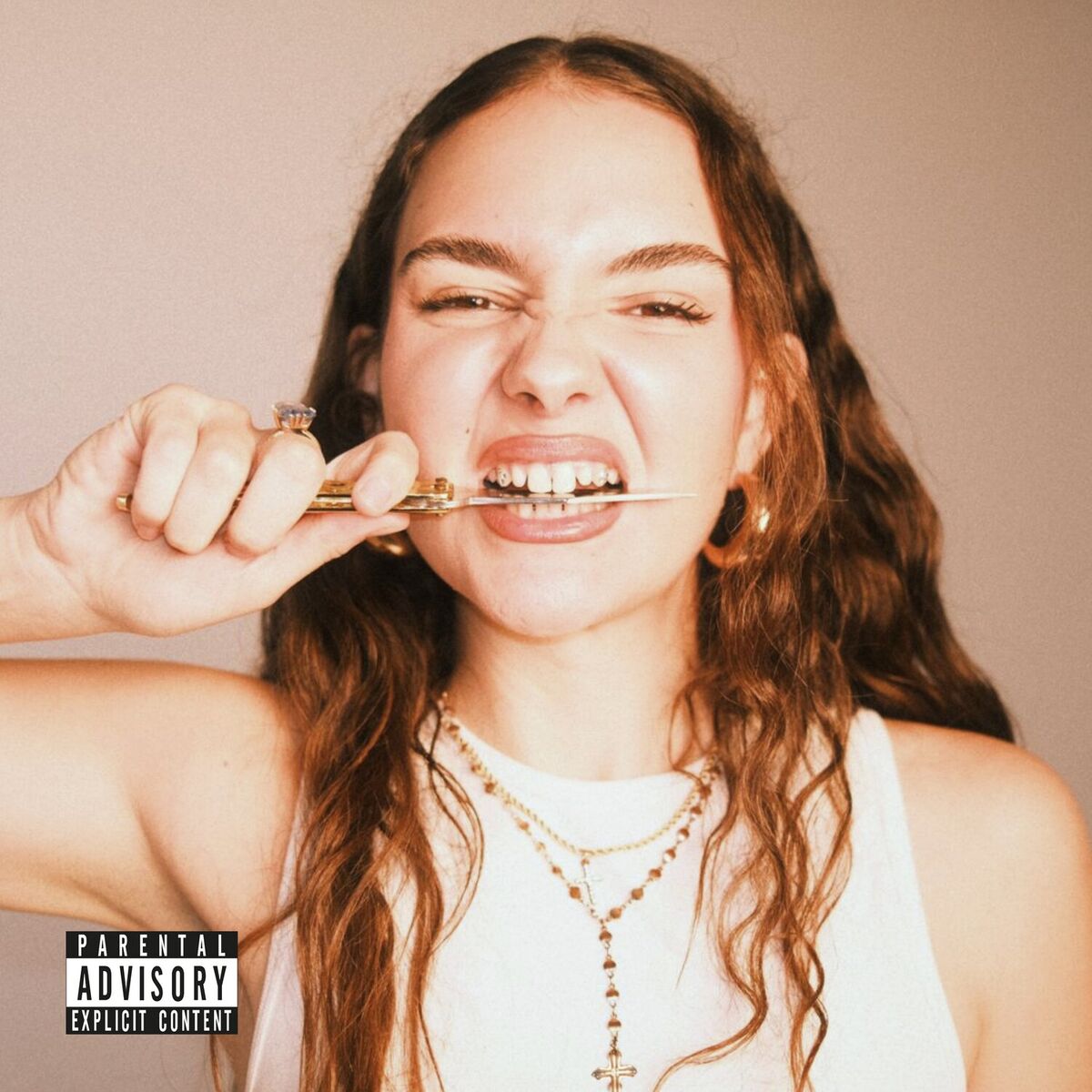 Album cover of No Certificada
