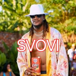Cover of Svovi