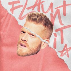 Cover of FLAUNT IT