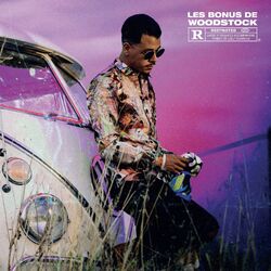 Cover of Les bonus de Woodstock