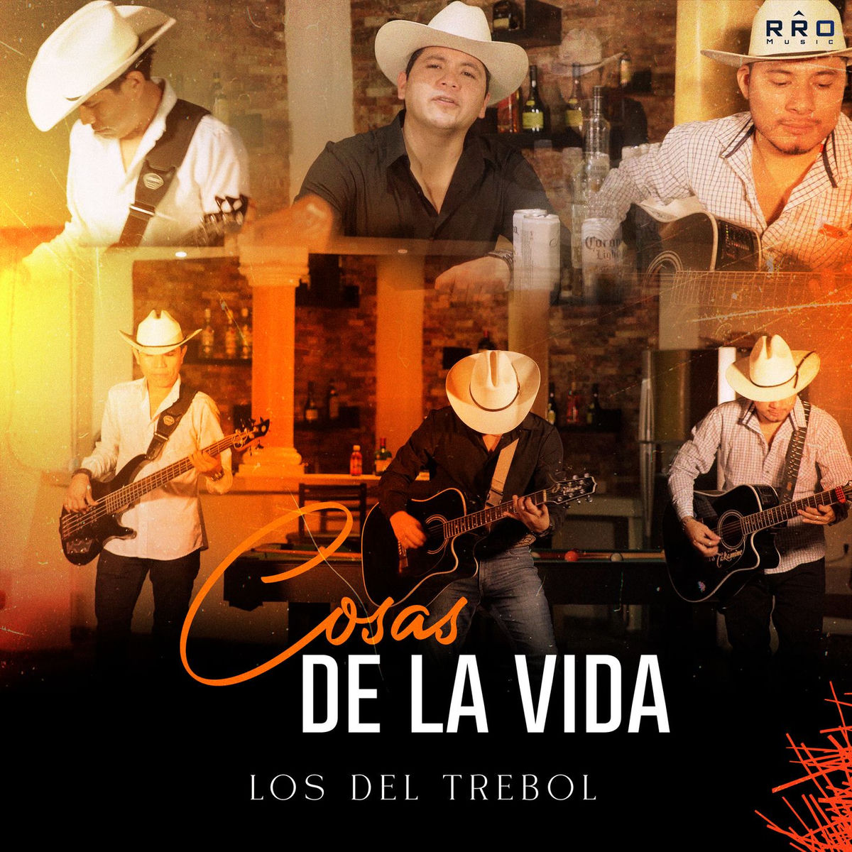 Album cover of Cosas De La Vida