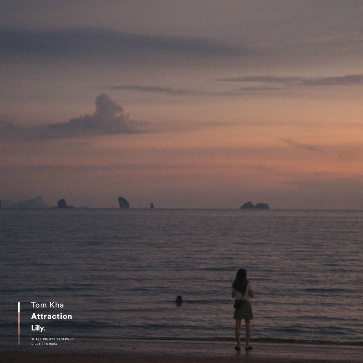 Album cover of Attraction