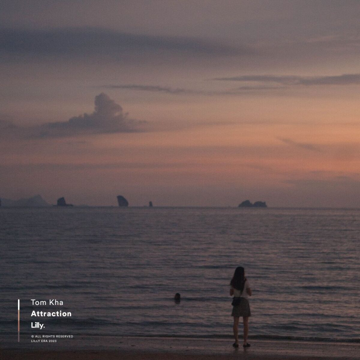 Album cover of Attraction