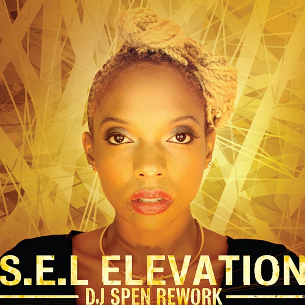 Picture of Elevation (DJ Spen Rework)
