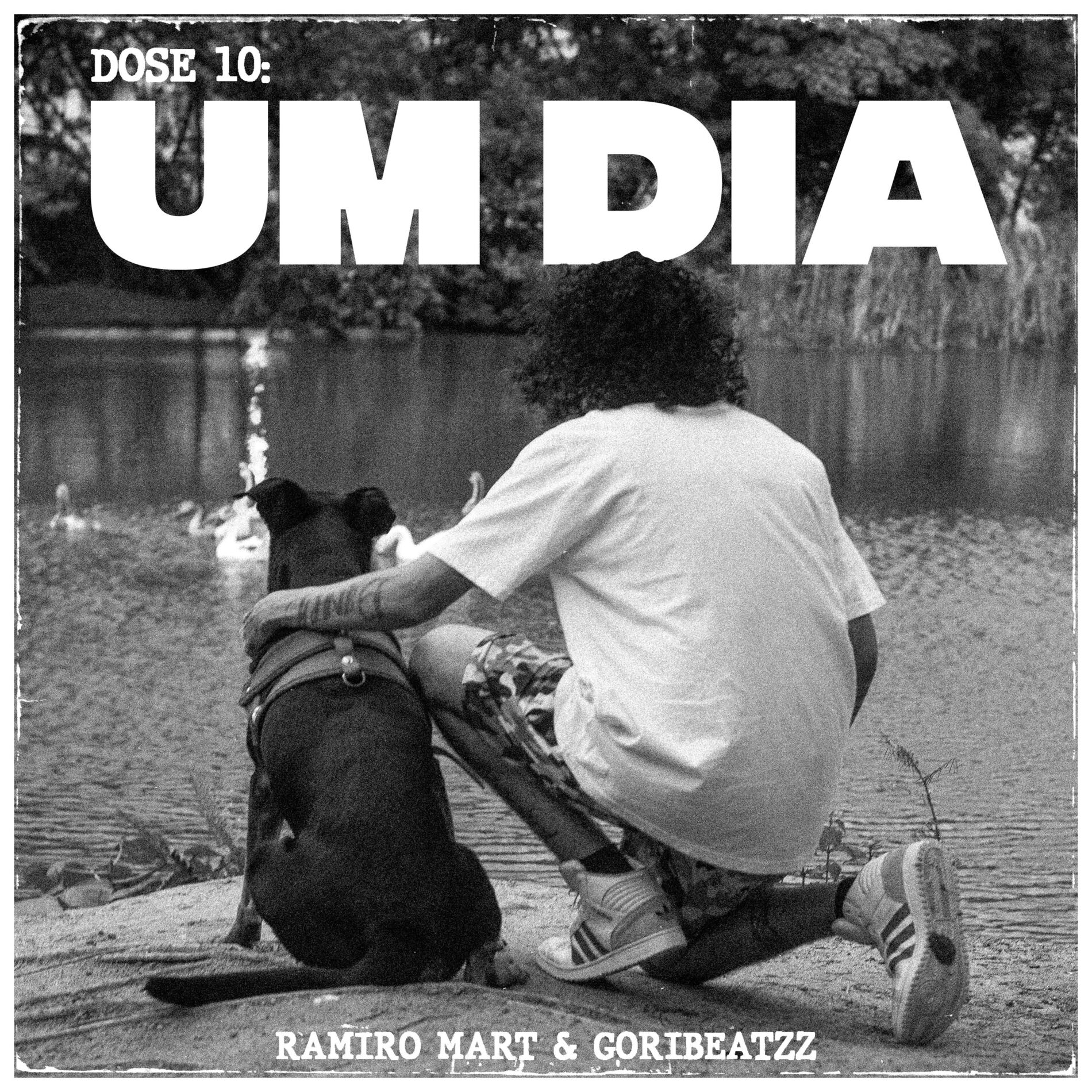 Album cover of Dose 10: Um Dia