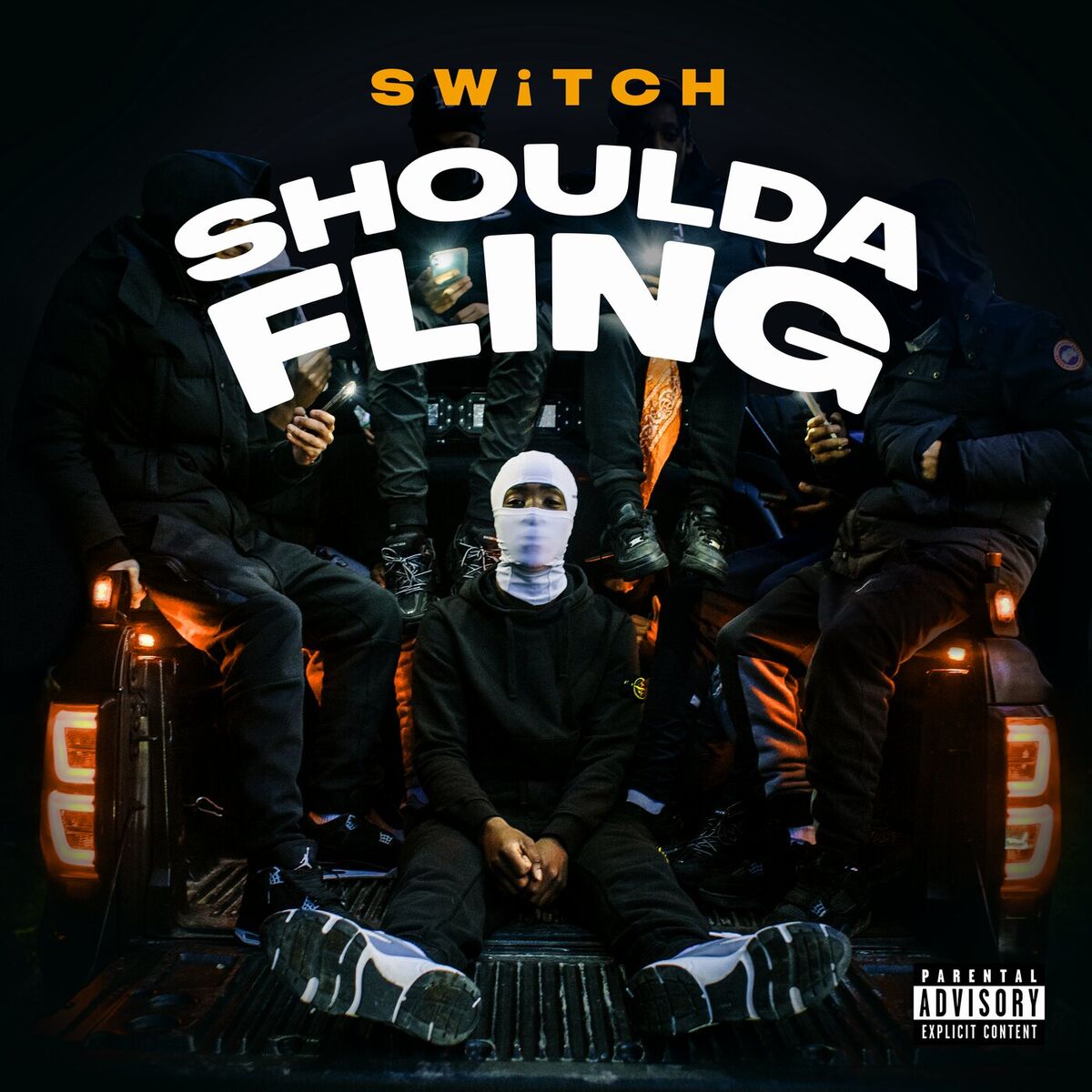 Album cover of Shoulda Fling