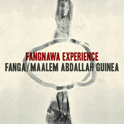 Cover of Fangnawa Experience