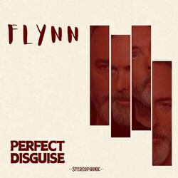 Cover of Perfect Disguise