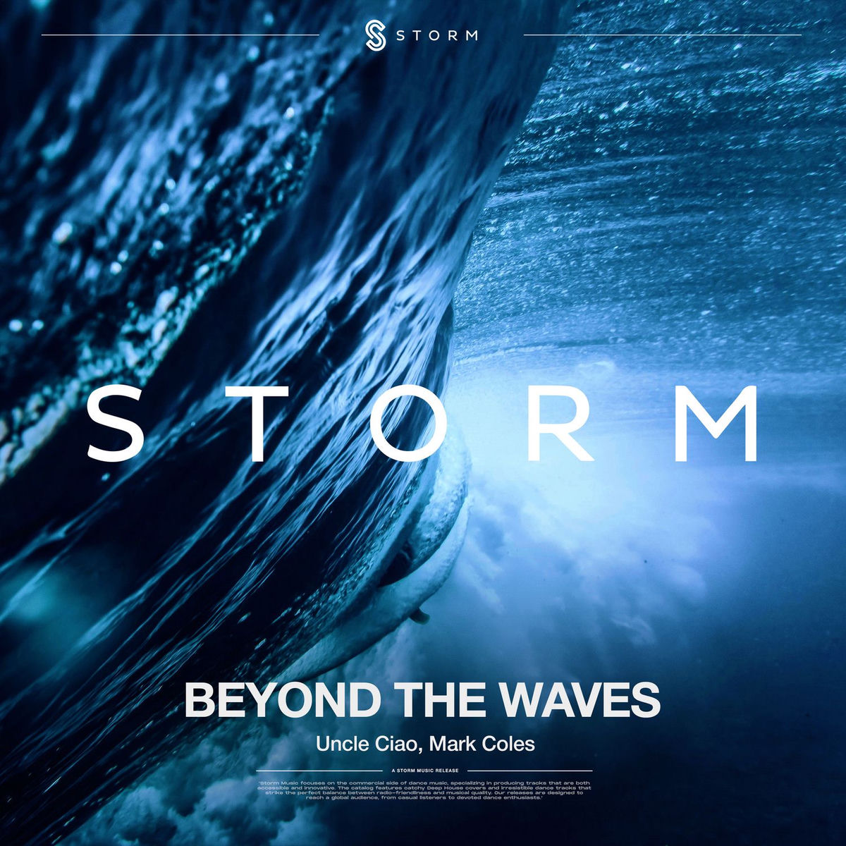 Album cover of Beyond the Waves