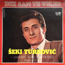 Cover of Dok sam te voleo