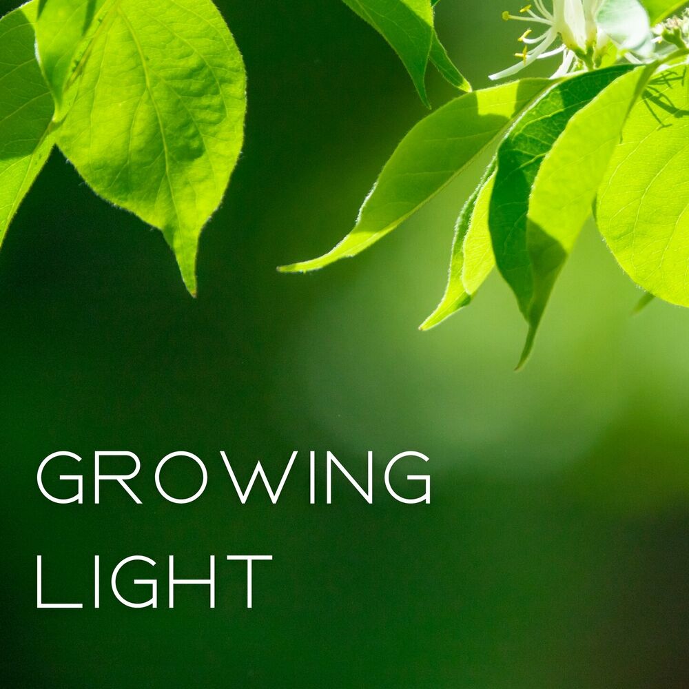 Picture of Growing Light