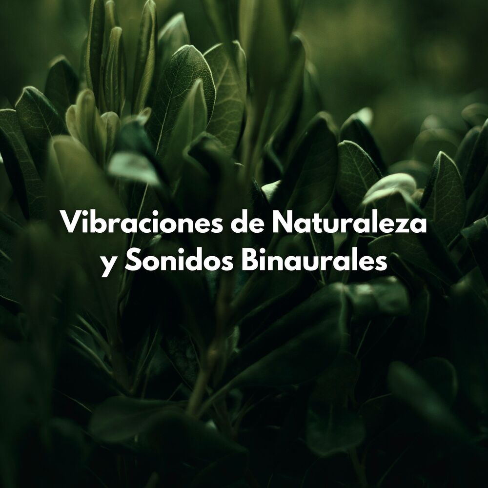 Picture of Vibraciones De Naturaleza Y Sonidos Binaurales