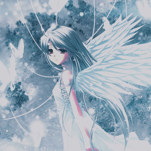 it's winter