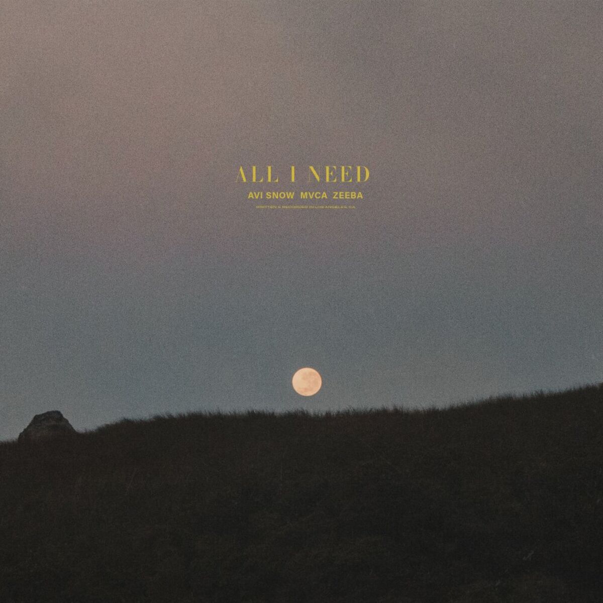Album cover of All I Need