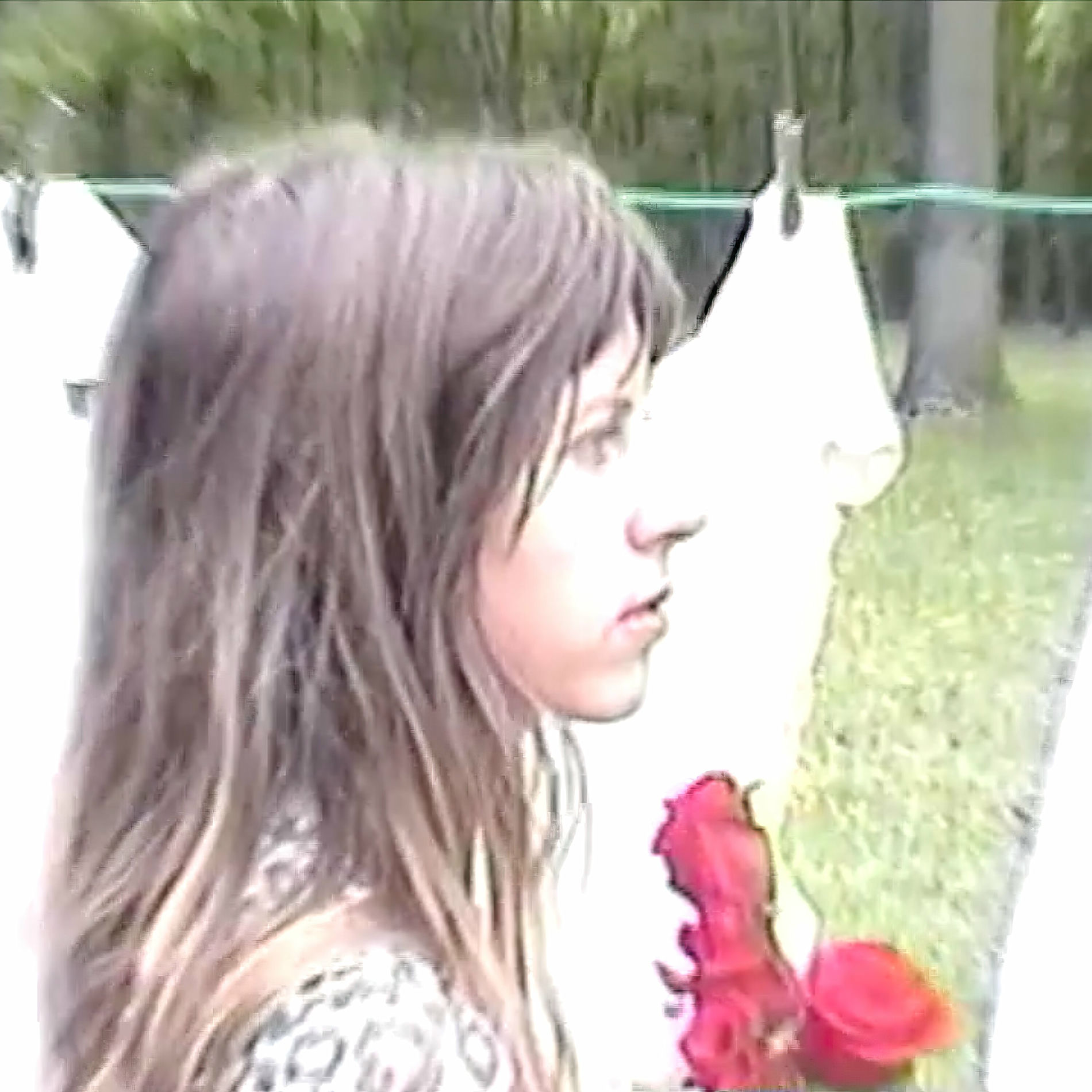 Album cover of White T-Shirt