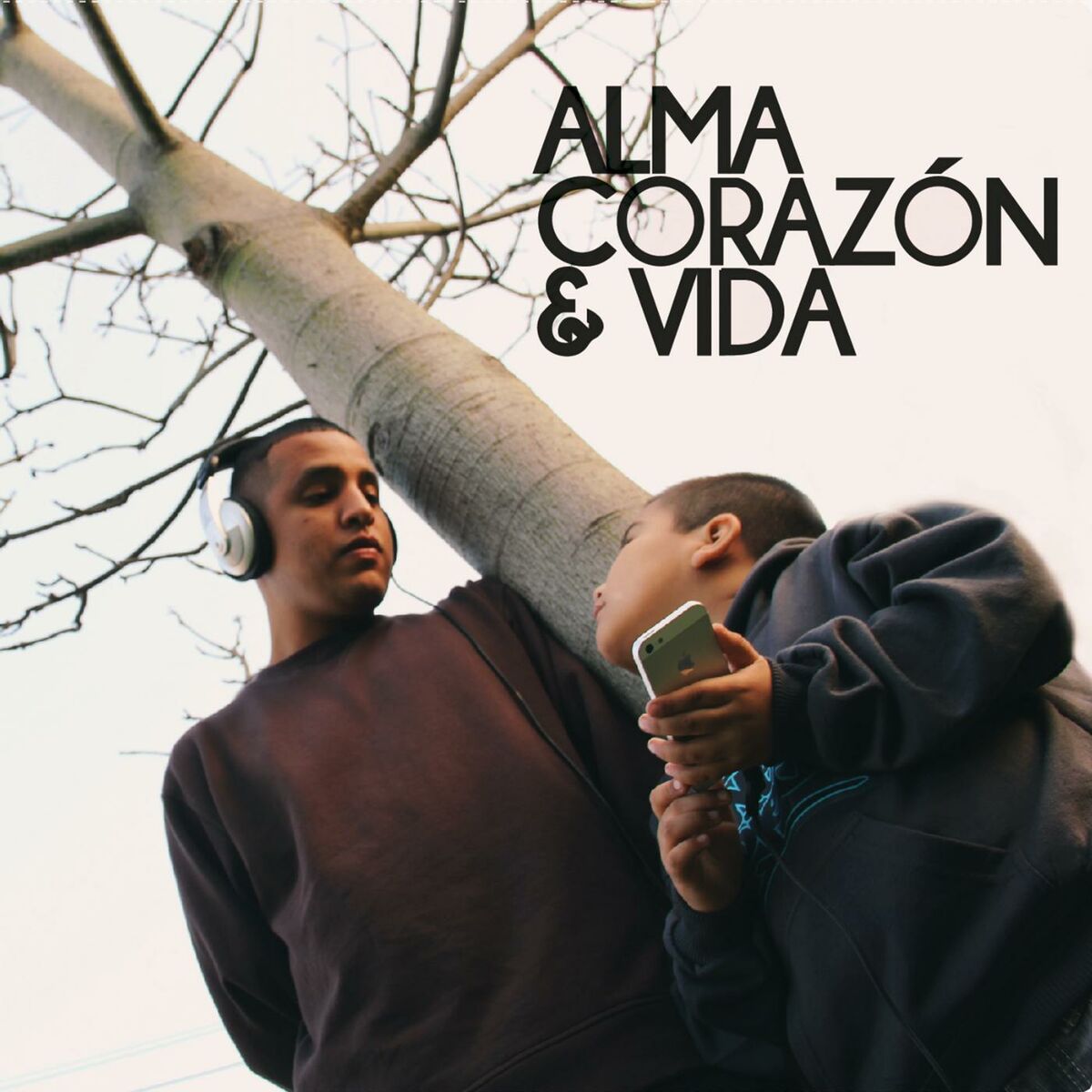 Album cover of Alma Corazón Y Vida