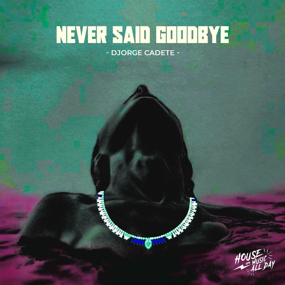 Picture of Never Said Goodbye