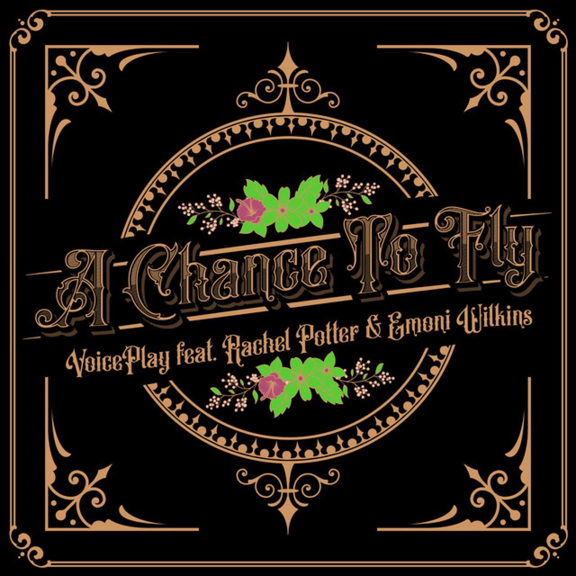 Album cover of A Chance to Fly