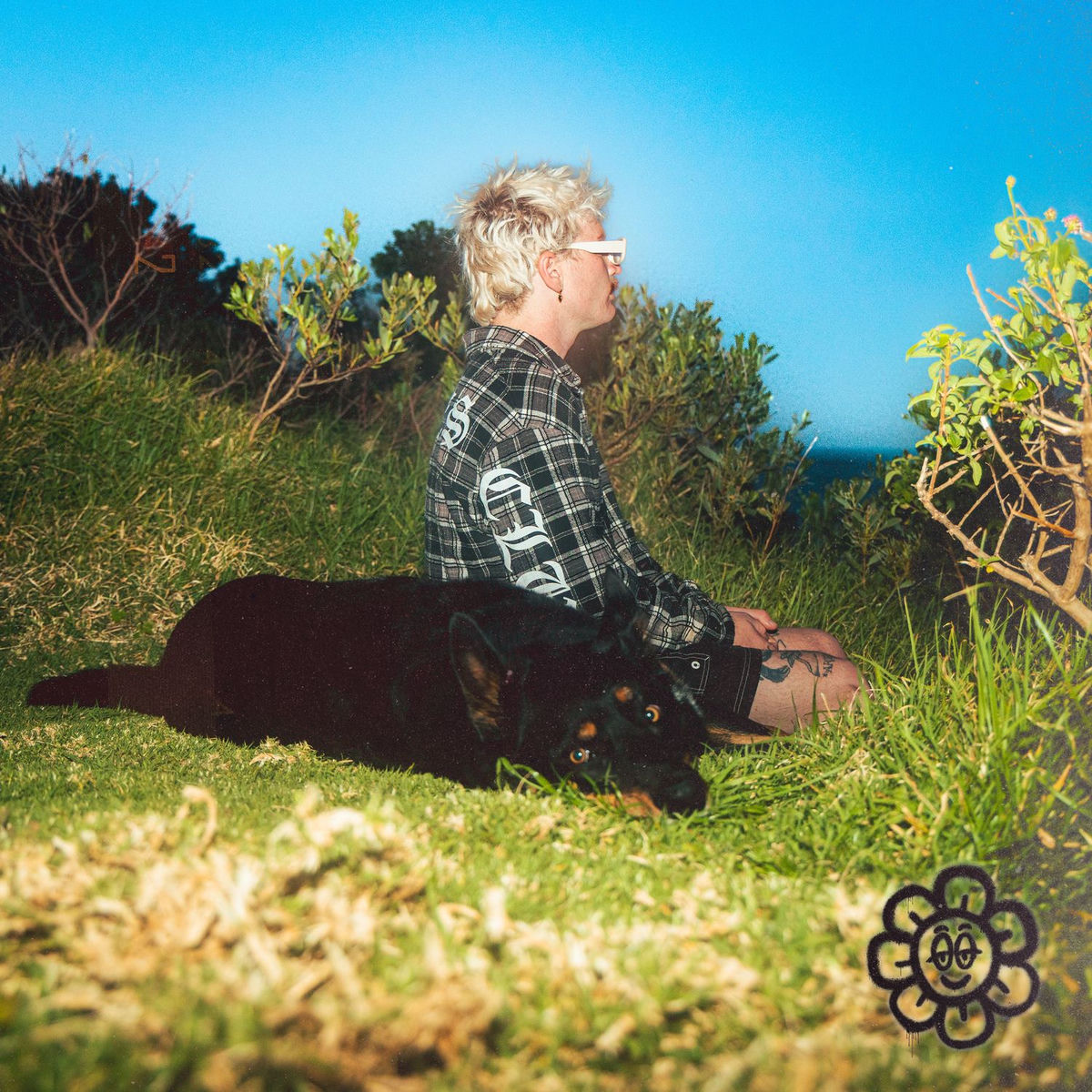 Album cover of Dark Horse