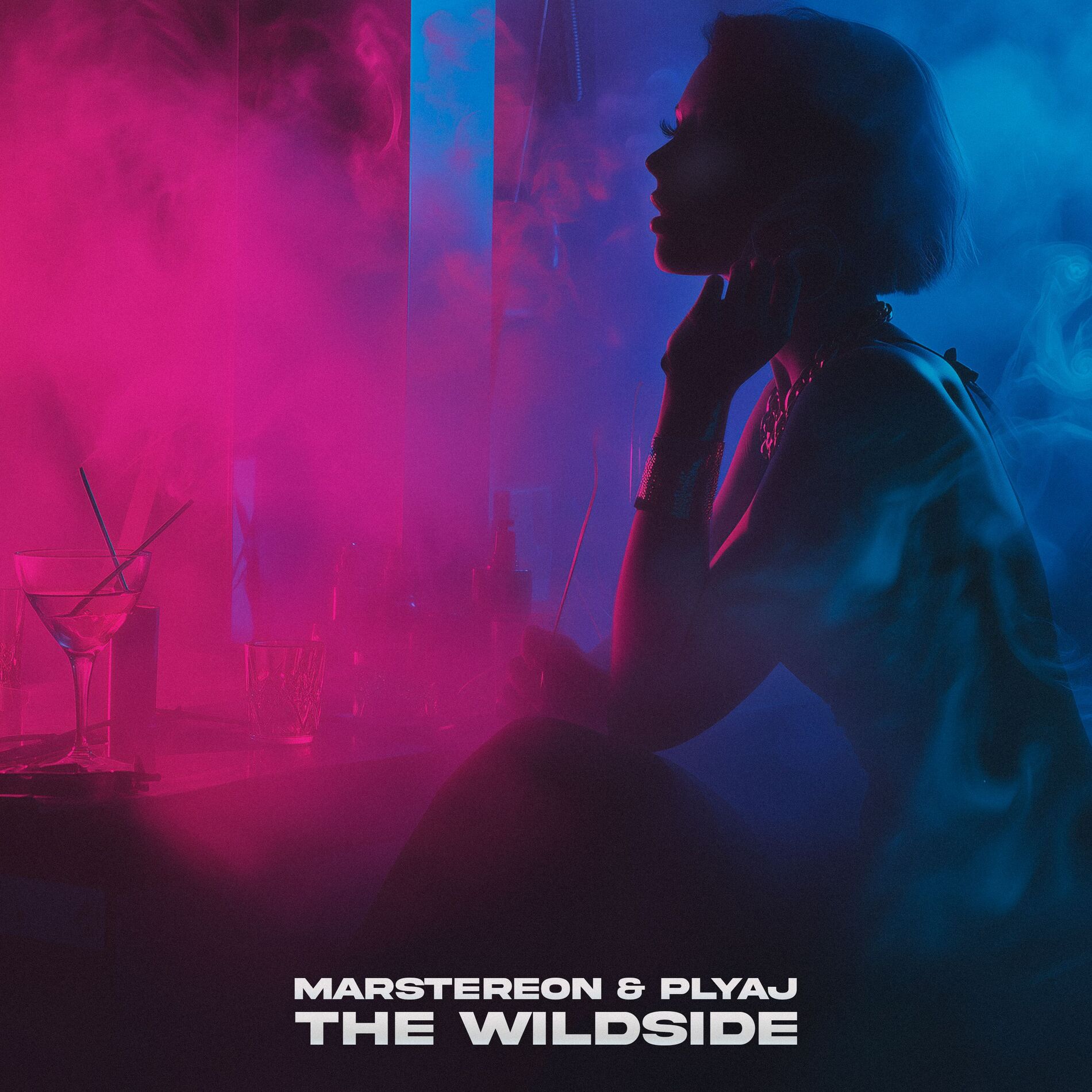 Album cover of The Wildside