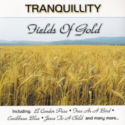 Cover of Fields Of Gold